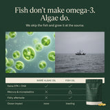 Maré Omega-3 - Algae EPA + DHA