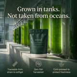 Maré Omega-3 - Algae EPA + DHA